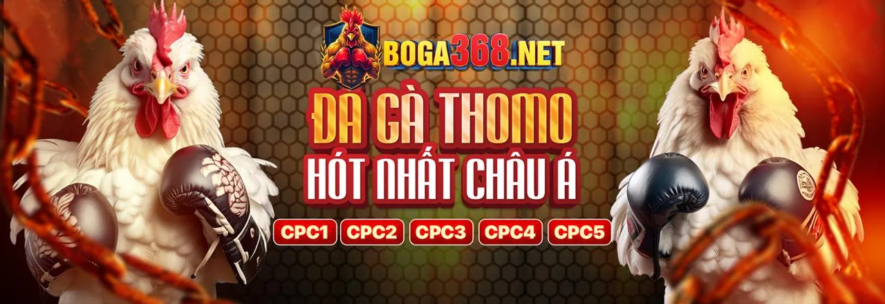 Tin tức cá cược trực tuyến 56wim04